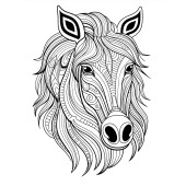 Süper Ötesi Hayvanlar MANDALA Kitap Seti (4 Kitap) - 2