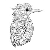 Süper Ötesi Hayvanlar MANDALA Kitap Seti (4 Kitap) - 5