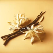 Deep Fresh Çubuklu Oda Kokusu Vanilya 100 ml thumbnail 3