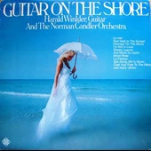 Harald Winkler And The Norman Candler Orchestra* - Guitar On The Shore  –  pop tarz plak alithestereo - 1