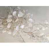 Kurutulmuş Sedef Çiçeği - 1