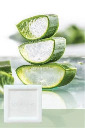 Aloe Vera Sabunu 150 gr - 2