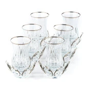 Çay Seti Cam El Dekor Nilüfer Model Gümüş Renk Yaldızlı - 1