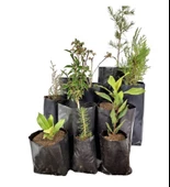 Urgancıoğlu Fidan Poşeti 25-30 Fide Torbası 1 Kg thumbnail 1