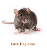 Bayer-Envu Rodilon Mum Blok Fare Zehiri | 500 Gram thumbnail 5