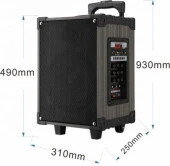 LT-910 Süper Bass Kumandalı Şarjlı Çift Mikrofonlu Hoparlör Sistemi Taşınabilir Amfi - 2