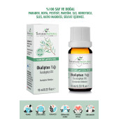 Okaliptüs Uçucu Yağı 10 ml %100 Saf ve Doğal Aromaterapi Vegan Bitkisel Uçucu Yağ - 1