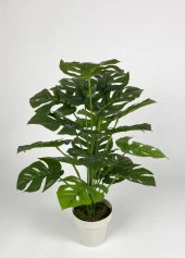 BİÇİÇEK   YAPAY ÇİÇEK SALON BİTKİSİ MONSTERA DEVE TABANI KIRIKBEYAZ RENK YALI SAKSIDA - 1
