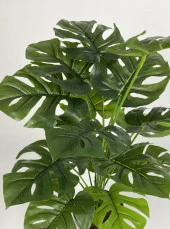BİÇİÇEK   YAPAY ÇİÇEK SALON BİTKİSİ MONSTERA DEVE TABANI KIRIKBEYAZ RENK YALI SAKSIDA - 3