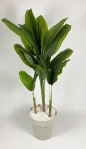 BİÇİÇEK   YAPAY AĞAÇ STARLİÇE BAMBU GÖVDELİ 220CM BÜYÜK BOY KIRIKBEYAZ RENK YALI SAKSIDA thumbnail 3