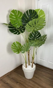 BİÇİÇEK   YAPAY AĞAÇ MONSTERA BAMBU GÖVDELİ 150CM DEVETABANI AĞACI BÜYÜK BOY KIRIKBEYAZ RENK YALI SAKSIDA thumbnail 1