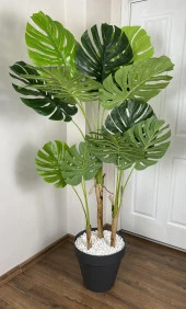 YAPAY AĞAÇ MONSTERA BAMBU GÖVDELİ 150CM DEVETABANI AĞACI BÜYÜK BOY ANTRASİT RENK YALI SAKSIDA - 3