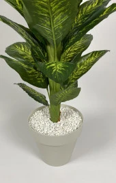 BİÇİÇEK   YAPAY AĞAÇ DİFENBAHYA BAMBU GÖVDELİ 160CM BÜYÜK BOY KIRIKBEYAZ RENK YALI SAKSIDA thumbnail 1