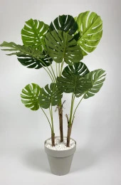 BİÇİÇEK   YAPAY AĞAÇ MONSTERA BAMBU GÖVDELİ 150CM DEVETABANI AĞACI BÜYÜK BOY KIRIKBEYAZ RENK YALI SAKSIDA thumbnail 3