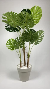 BİÇİÇEK   YAPAY AĞAÇ MONSTERA BAMBU GÖVDELİ 150CM DEVETABANI AĞACI BÜYÜK BOY KIRIKBEYAZ RENK YALI SAKSIDA thumbnail 4