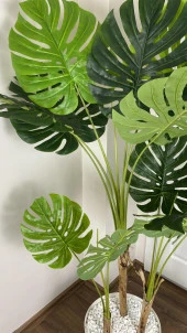 BİÇİÇEK   YAPAY AĞAÇ MONSTERA BAMBU GÖVDELİ 150CM DEVETABANI AĞACI BÜYÜK BOY KIRIKBEYAZ RENK YALI SAKSIDA thumbnail 5