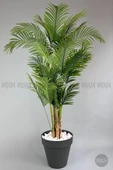 BİÇİÇEK   YAPAY AREKA AĞACI  BÜYÜK BOY PALMİYE AĞACI 4 BAMBU GÖVDELİ 220CM ANTRASİT RENK YALI SAKSIDA - 7