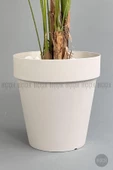 BİÇİÇEK   YAPAY AREKA AĞACI  BÜYÜK BOY PALMİYE AĞACI 4 BAMBU GÖVDELİ 220CM ANTRASİT RENK YALI SAKSIDA - 11