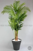 BİÇİÇEK   YAPAY AREKA AĞACI  BÜYÜK BOY PALMİYE AĞACI 4 BAMBU GÖVDELİ 220CM ANTRASİT RENK YALI SAKSIDA - 5