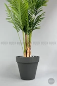 BİÇİÇEK   YAPAY AREKA AĞACI  BÜYÜK BOY PALMİYE AĞACI 4 BAMBU GÖVDELİ 220CM ANTRASİT RENK YALI SAKSIDA - 2
