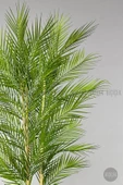 YAPAY AREKA AĞACI PALMİYE AĞACI 33 YAPRAKLI BAMBU GÖVDELİ BEYAZ KUMSAL SAKSI SALON ÇİÇEĞİ 150CM - 9
