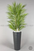 YAPAY AREKA AĞACI PALMİYE AĞACI 33 YAPRAKLI BAMBU GÖVDELİ BEYAZ KUMSAL SAKSI SALON ÇİÇEĞİ 150CM - 6