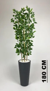 BİÇİÇEK   YAPAY BENJAMİN AĞACI 180CM YOĞUN YAPRAKLI BAMBU GÖVDELİ ANTRASİT RENK KUMSAL SAKSIDA thumbnail 1