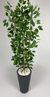 BİÇİÇEK   YAPAY BENJAMİN AĞACI 180CM YOĞUN YAPRAKLI BAMBU GÖVDELİ ANTRASİT RENK KUMSAL SAKSIDA thumbnail 3