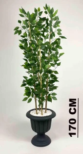 BİÇİÇEK   YAPAY BENJAMİN AĞACI 170CM YOĞUN YAPRAKLI BAMBU GÖVDELİ ANTRASİT RENK NERGİS SAKSIDA thumbnail 2