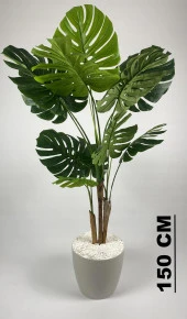 BİÇİÇEK   YAPAY AĞAÇ MONSTERA BAMBU GÖVDELİ 150CM DEVETABANI AĞACI BÜYÜK BOY KIRIKBEYAZ RENK YAKUT SAKSIDA - 2