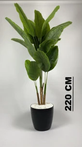 BİÇİÇEK YAPAY AĞAÇ STARLİÇE BAMBU GÖVDELİ 220CM BÜYÜK BOY SİYAH RENK YAKUT SAKSIDA - 2