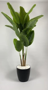 BİÇİÇEK YAPAY AĞAÇ STARLİÇE BAMBU GÖVDELİ 220CM BÜYÜK BOY SİYAH RENK YAKUT SAKSIDA - 3