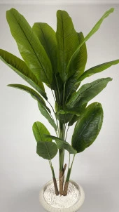 BİÇİÇEK   YAPAY AĞAÇ STARLİÇE BAMBU GÖVDELİ 240CM BÜYÜK BOY KIRIKBEYAZ RENK NERGİS SAKSIDA ÜÇ BOY YAPAY AĞAÇ thumbnail 1