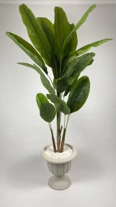 BİÇİÇEK   YAPAY AĞAÇ STARLİÇE BAMBU GÖVDELİ 240CM BÜYÜK BOY KIRIKBEYAZ RENK NERGİS SAKSIDA ÜÇ BOY YAPAY AĞAÇ thumbnail 3