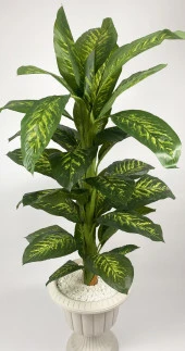 BİÇİÇEK   YAPAY AĞAÇ DİFENBAHYA BAMBU GÖVDELİ 200CM BÜYÜK BOY KIRIK BEYAZ RENK NERGİS SAKSIDA thumbnail 1