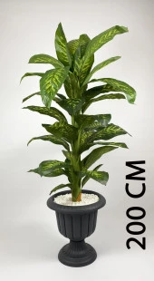 BİÇİÇEK   YAPAY AĞAÇ DİFENBAHYA BAMBU GÖVDELİ 200CM BÜYÜK BOY ANTRASİT RENK NERGİS SAKSIDA thumbnail 2