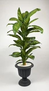 BİÇİÇEK   YAPAY AĞAÇ DİFENBAHYA BAMBU GÖVDELİ 200CM BÜYÜK BOY ANTRASİT RENK NERGİS SAKSIDA thumbnail 3