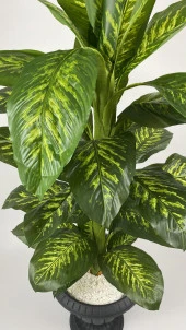 BİÇİÇEK   YAPAY AĞAÇ DİFENBAHYA BAMBU GÖVDELİ 200CM BÜYÜK BOY ANTRASİT RENK NERGİS SAKSIDA thumbnail 4