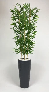 BİÇİÇEK   YAPAY BAMBU AĞACI  180CM YOĞUN YAPRAKLI ANTRASİT RENK KUMSAL SAKSIDA thumbnail 4