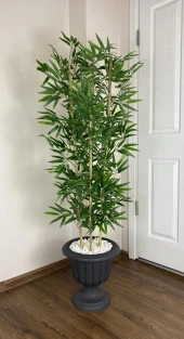 BİÇİÇEK   YAPAY BAMBU AĞACI  140CM YOĞUN YAPRAKLI ANTRASİT RENK NERGİS SAKSIDA thumbnail 1