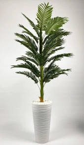 BİÇİÇEK   YAPAY AREKA AĞACI  BÜYÜK BOY PALMİYE AĞACI DEKORATİF KUMSAL BEYAZ RENK SAKSIDA thumbnail 4