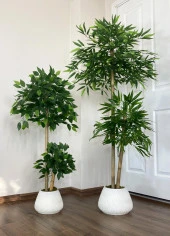 BİÇİÇEK   YAPAY BAMBU AĞACI 160CM + 125CM BENJAMİN AĞACI - 2