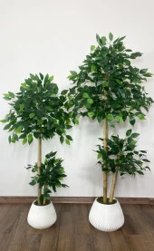BİÇİÇEK   YAPAY BENJAMİN AĞACI BAMBU GÖVDELİ  140CM + 125CM - 2