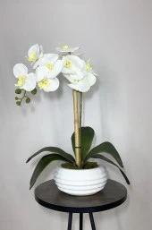 BİÇİÇEK   Yapay Çiçek Dekoratif Beton Saksıda Büyük boy Beyaz Islak Orkide thumbnail 2