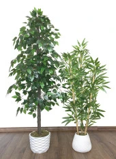 BİÇİÇEK   YAPAY BENJAMİN AĞACI 160CM VE YAPAY BAMBU AĞACI 125CM YOĞUN YAPRAKLI - 2