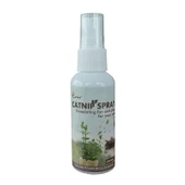 Eastland Catnip Sprey 60ml - 1
