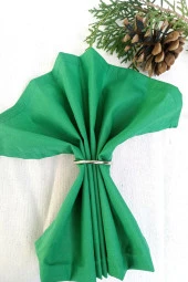 6lı Çam Yeşili Pamuk Kumaş Servis Sunum Peçetesi thumbnail 6