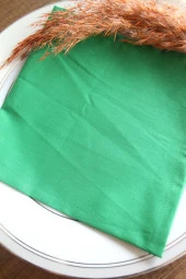 6lı Çam Yeşili Pamuk Kumaş Servis Sunum Peçetesi thumbnail 8