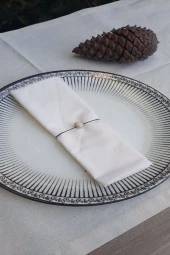 12li Ekru Pamuk Kumaş Servis Sunum Peçetesi thumbnail 2