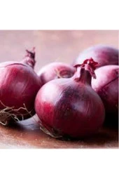 100 Adet Tohum Organik Mor Kışlık Soğan Tohumu Yeni Hasat Taze Tohumu - 1